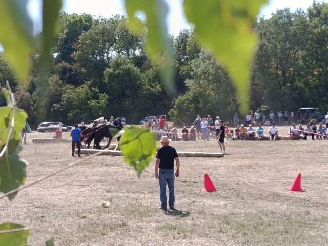 IMG_20260808_141212
